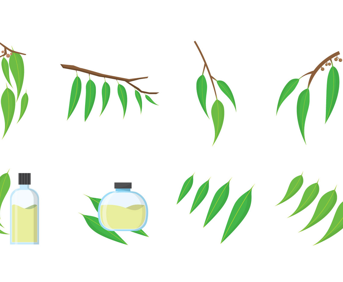 Free Eucalyptus Vector
