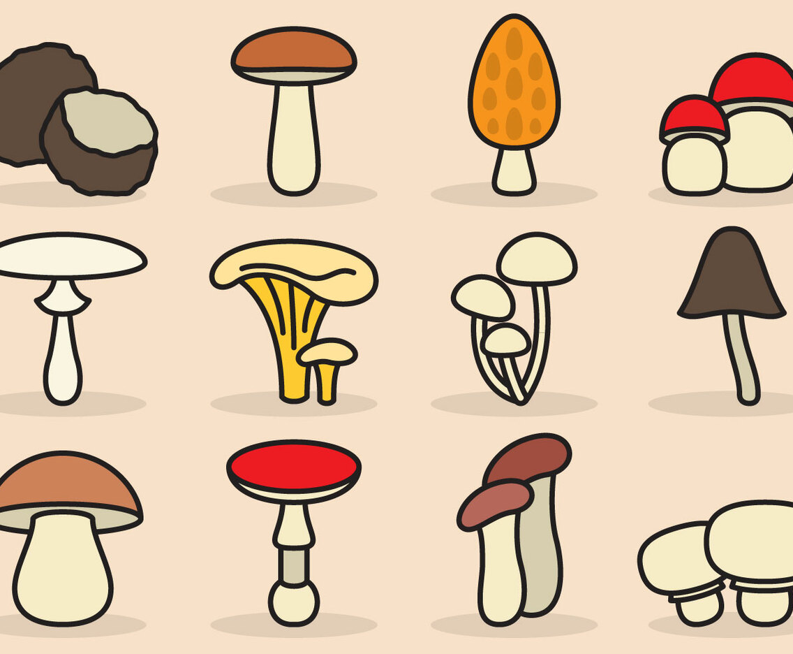 Cute Mushroom Icons