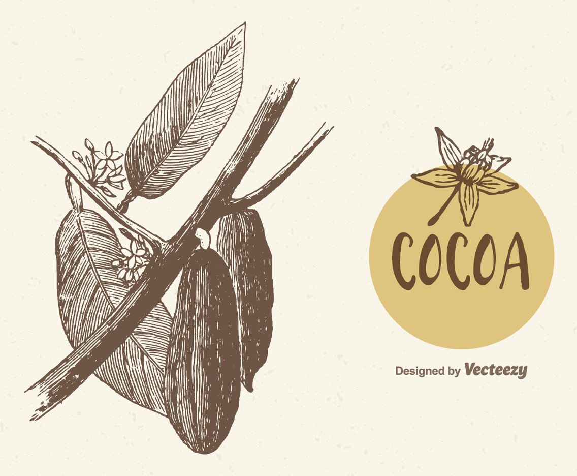 Free Cocoa Branch Vector Illustration