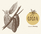 Free Cocoa Branch Vector Illustration