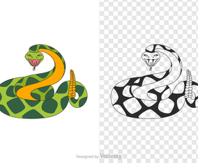 Free Rattlesnake Vector Illustration