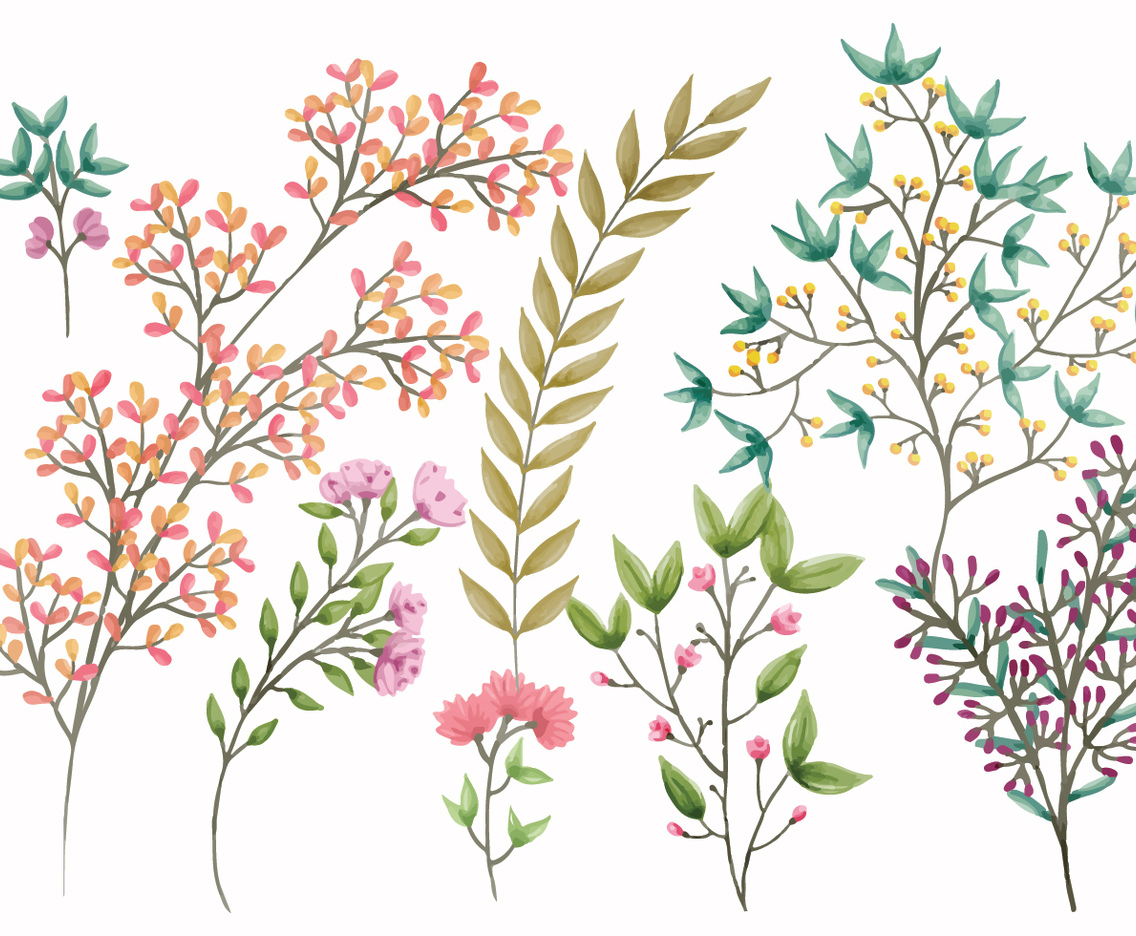 Boho Vector Floral Elements