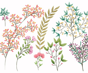 Boho Vector Floral Elements
