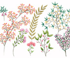 Boho Vector Floral Elements