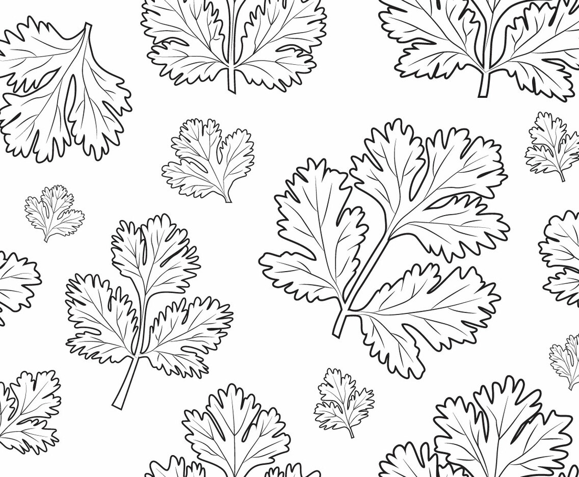 Cilantro - Seamless Pattern