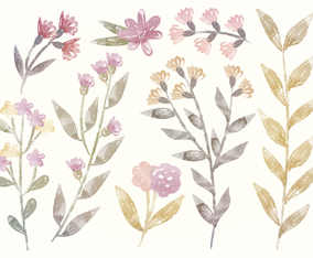 Vector Watercolor Floral Elements