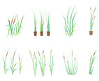 Free Cattails Vector