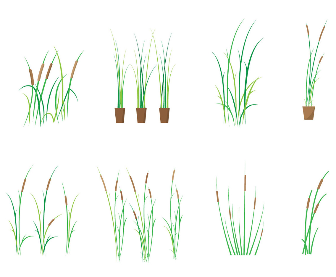 Free Cattails Vector