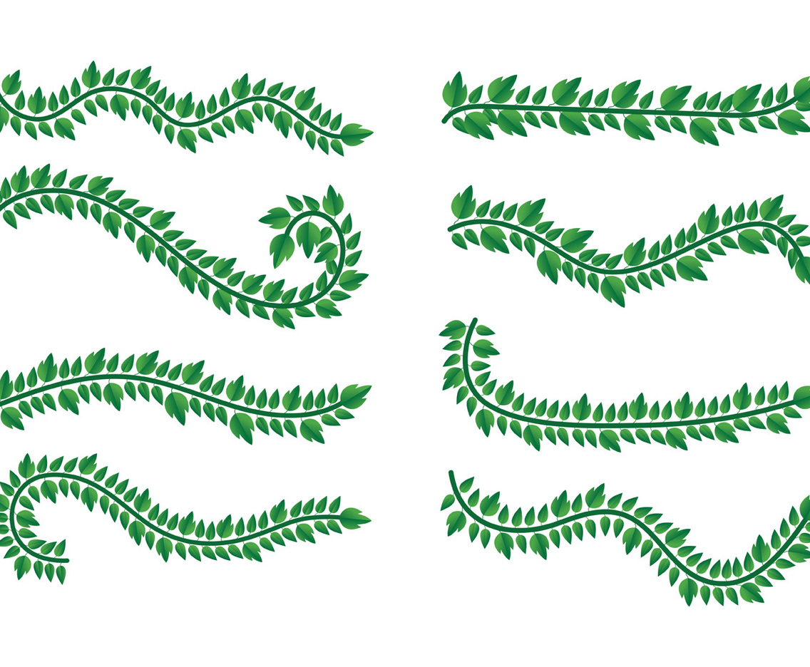 Set Of Liana Vector
