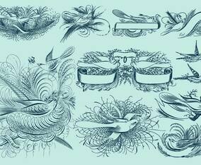 Pinstripe Bird Drawings