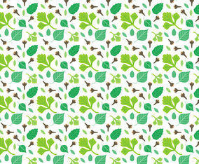 Free Herbs Vector