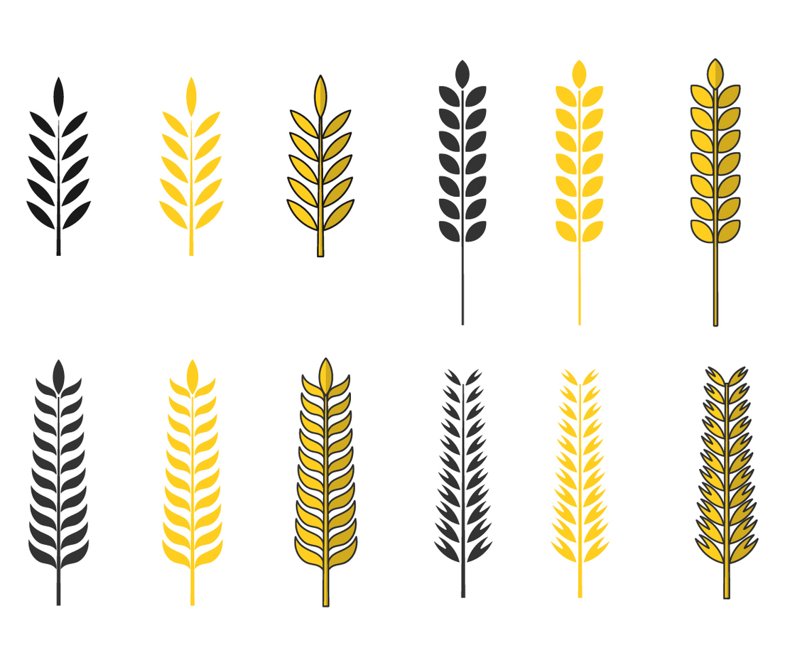 Golden Oat Vector Set