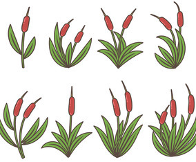 Colorful Cattails Icon Vector