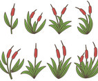 Colorful Cattails Icon Vector