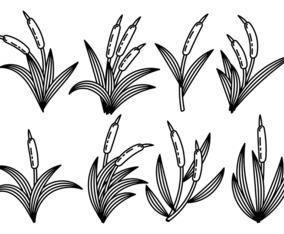Black and White Cattails Icon Vector