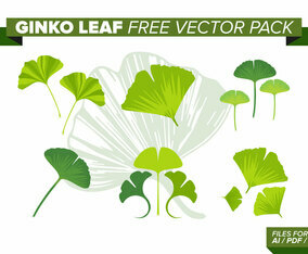Ginko Leaf Free Vector Pack