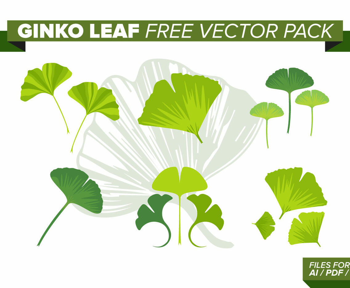 Ginko Leaf Free Vector Pack