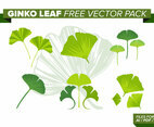 Ginko Leaf Free Vector Pack