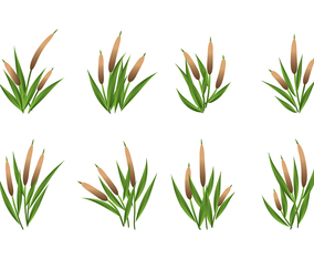 Cattails Vector Set