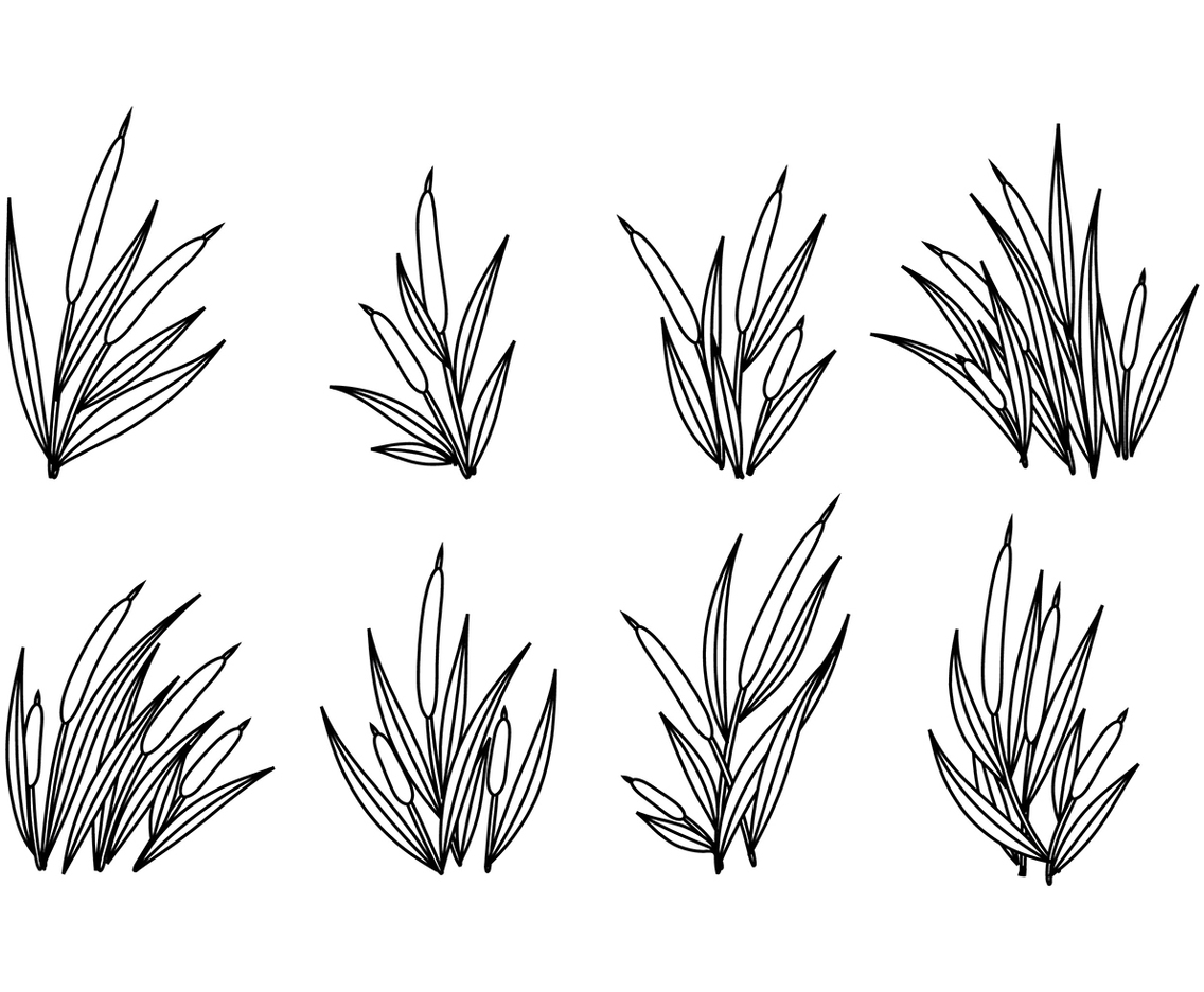 Cattails Vector Outline