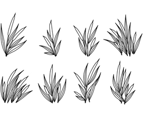 Cattails Vector Outline