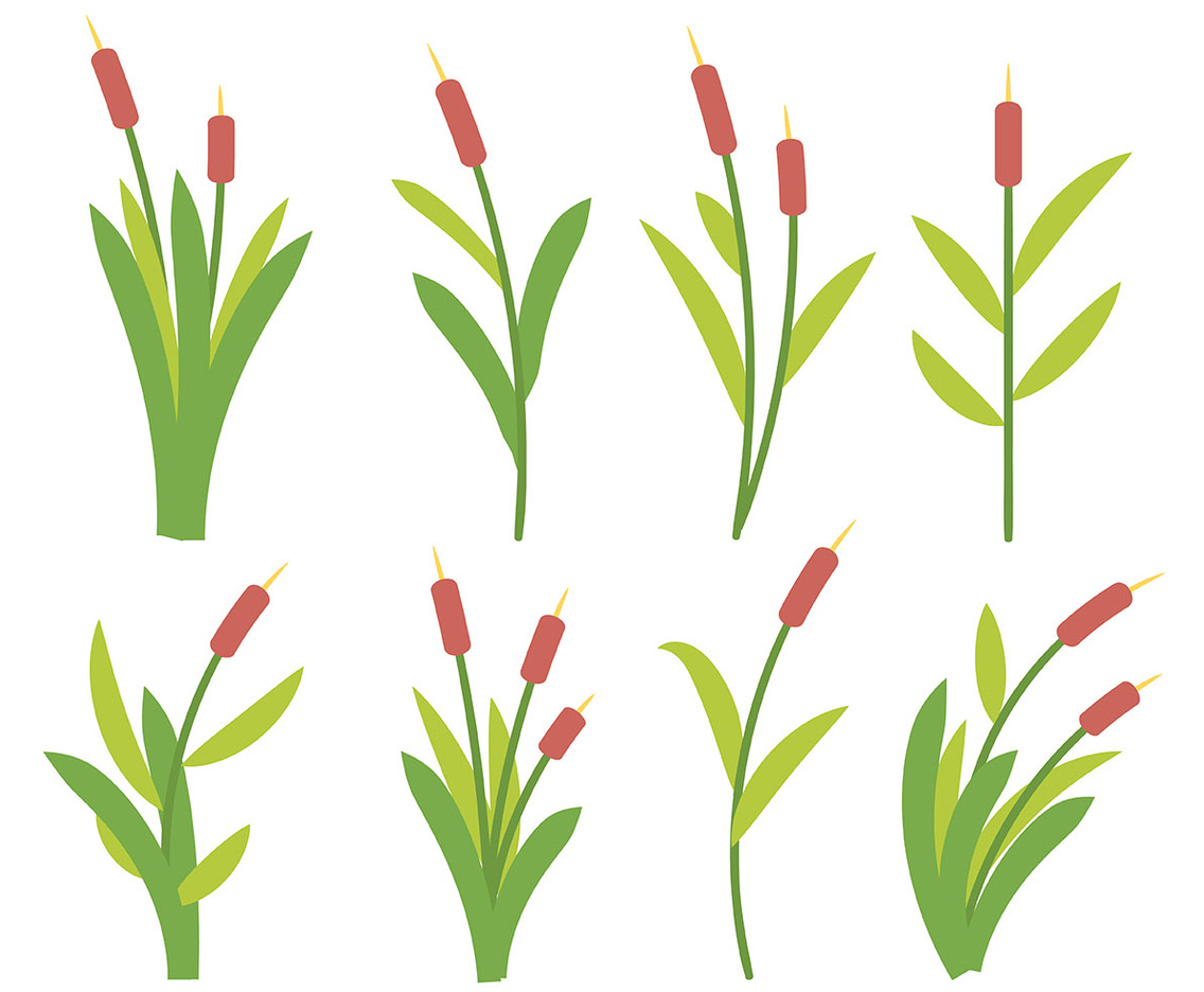 Free Cattails Icon Vector
