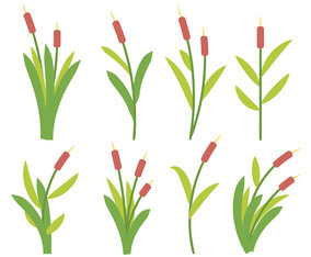 Free Cattails Icon Vector