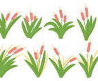 Free Cattails Icon Vector