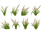 Cattails Vector Flat