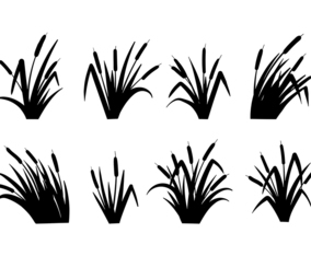 Cattails Vector Black and White