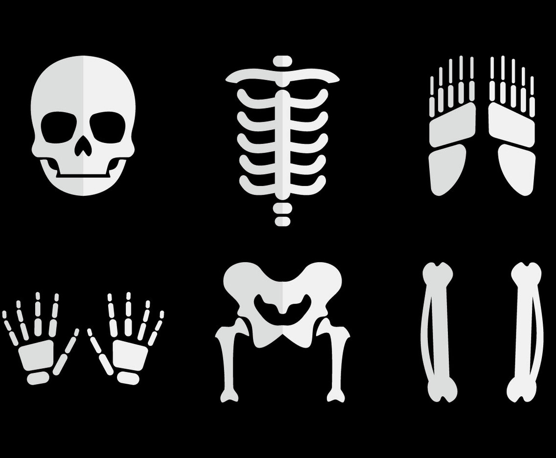 Human Bones Vector