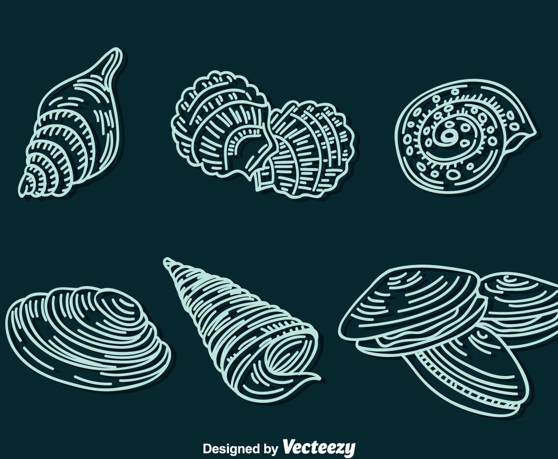 Shell Line Icons Vector