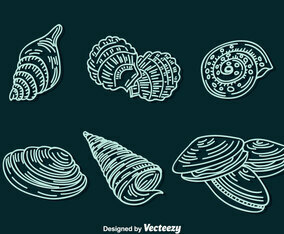 Shell Line Icons Vector