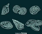 Shell Line Icons Vector