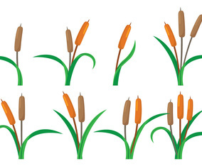Cattails Vector