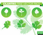 Cilantro Free Vector Pack
