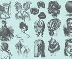 Vintage Coiffures