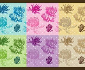 Protea Patterns