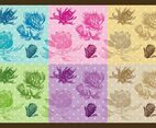 Protea Patterns