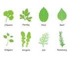 Free Herbs Vector