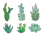 Set of Succulents and Cactus