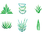 Set of Aloe Vera Drawings