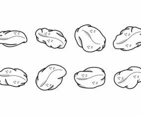 Cartoon Raisins Vector