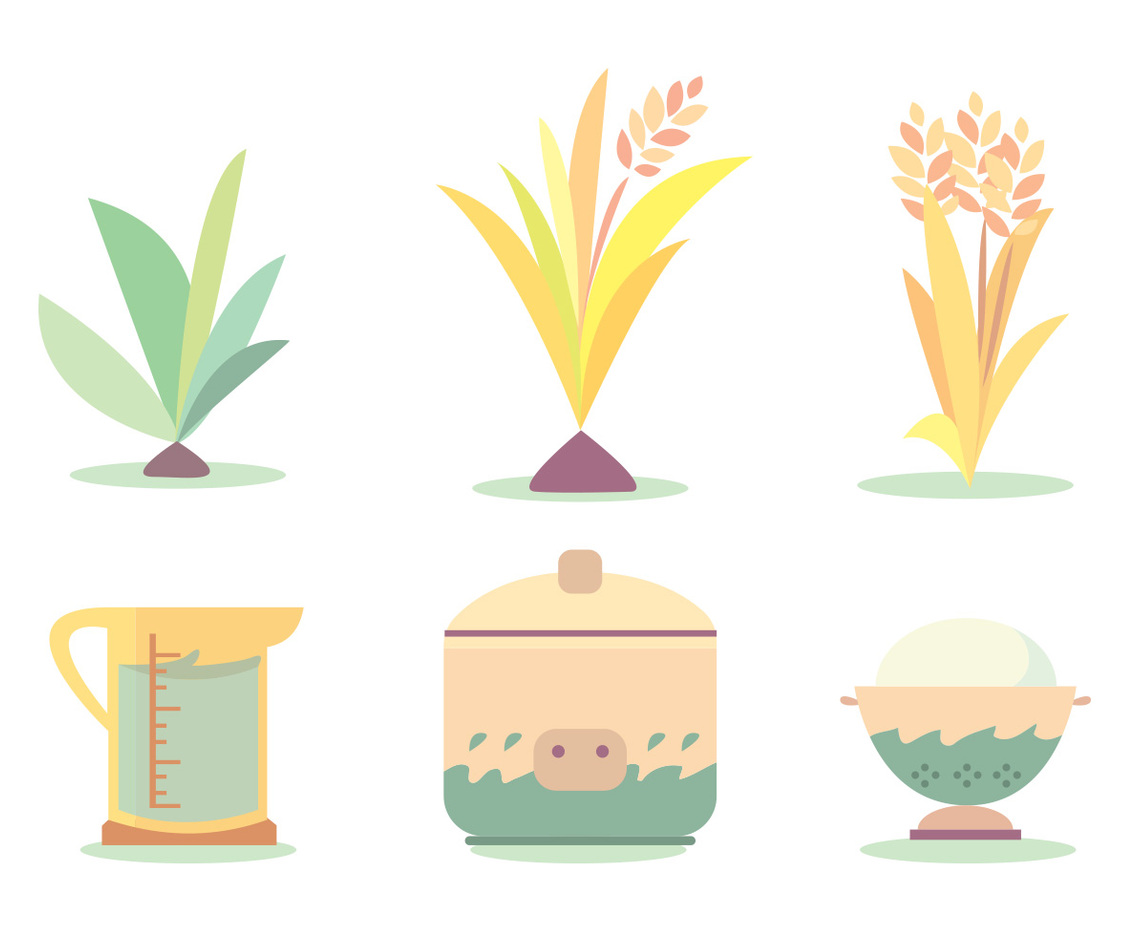 Rice Cook Cycle Vector Set