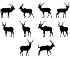 Kudu Silhouettes Vector