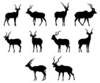 Kudu Silhouettes Vector