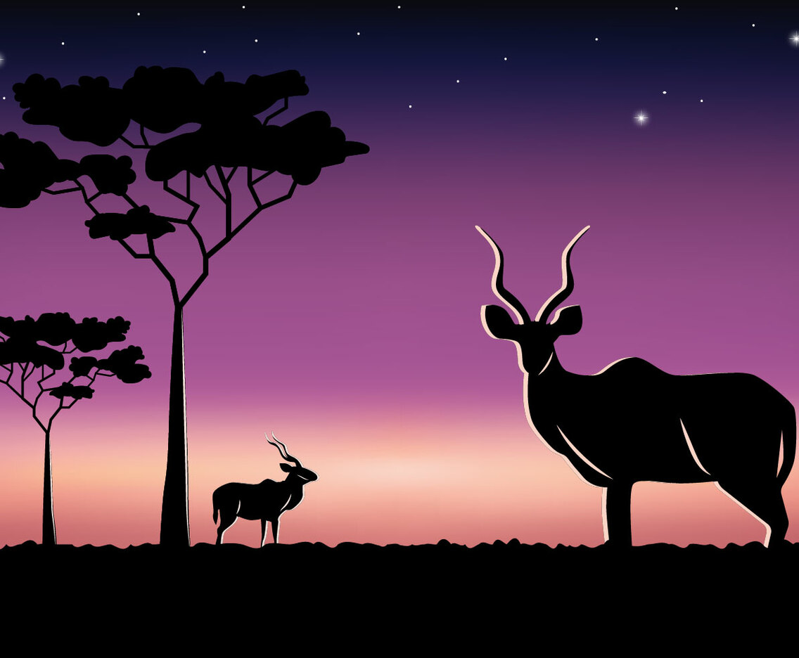 Savannah Kudu at Night