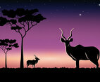 Savannah Kudu at Night