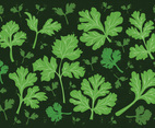Cilantro Leaf Vector Background