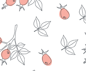 Delicate Rosehip Pattern